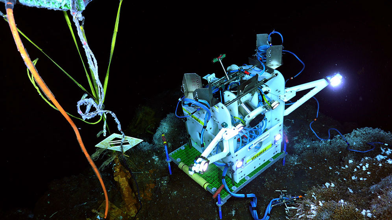 Illustration for article titled This Super-Tough Vent Camera Keeps Tabs on Undersea Aliens